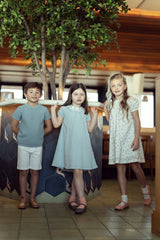 Load image into Gallery viewer, Girls Dress Marrowedge at Sleeve Elastic Cuffs Invisible Back Zipper
