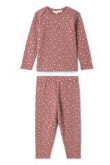 Load image into Gallery viewer, Boys 2 PC Long Set With Bird Print

