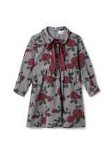 Load image into Gallery viewer, Girls Dress In Woven Fabric
