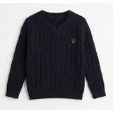 Load image into Gallery viewer, Cable Knit V-Neck Sweater
